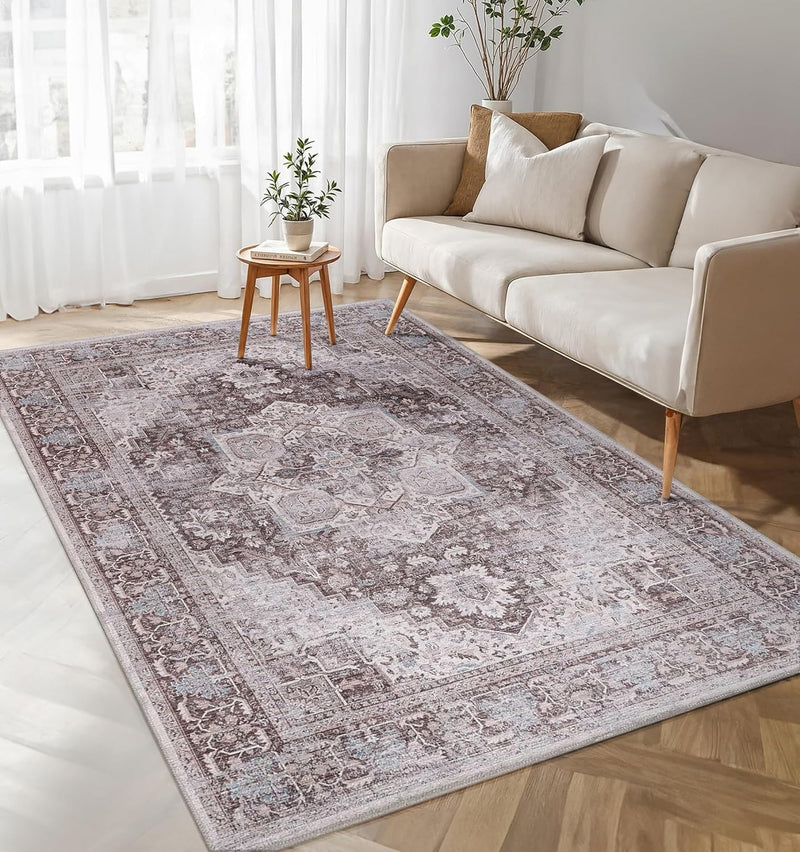 Washable Area Rug for Living Room
