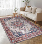 Washable Area Rug for Living Room
