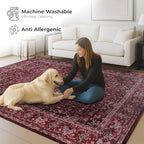 Washable Area Rug for Living Room