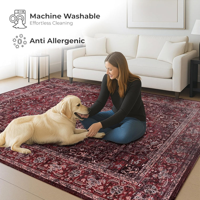 Washable Area Rug for Living Room