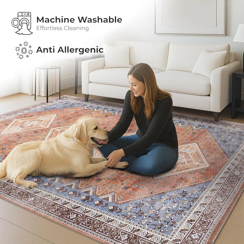 Washable Area Rug for Living Room