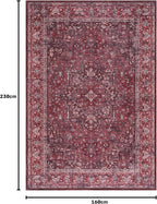 Washable Area Rug for Living Room