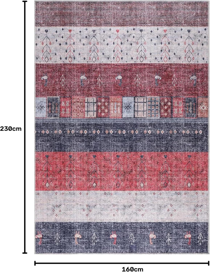 Washable Area Rug for Living Room