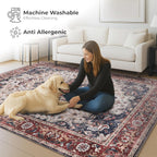 Washable Area Rug for Living Room