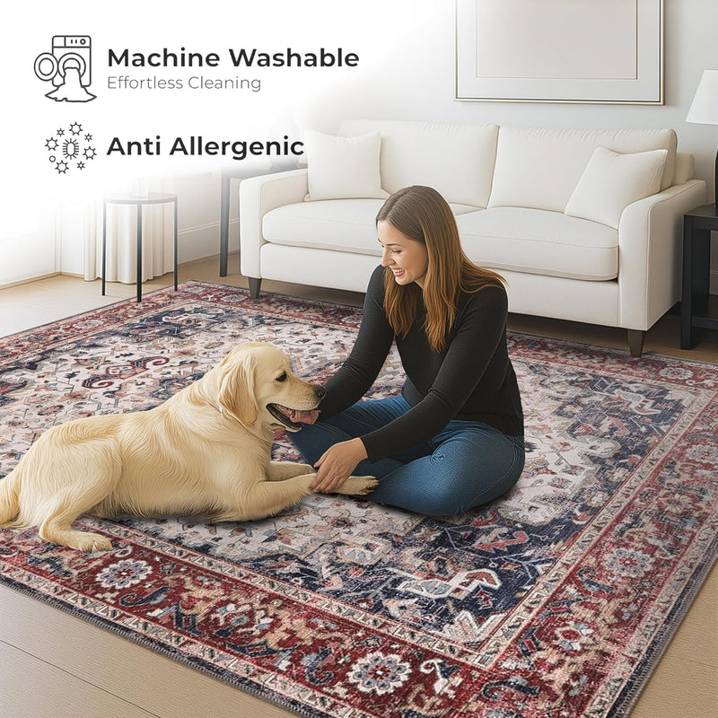 Washable Area Rug for Living Room