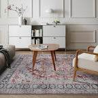 Washable Area Rug for Living Room