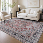 Washable Area Rug for Living Room