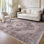 Washable Area Rug for Living Room