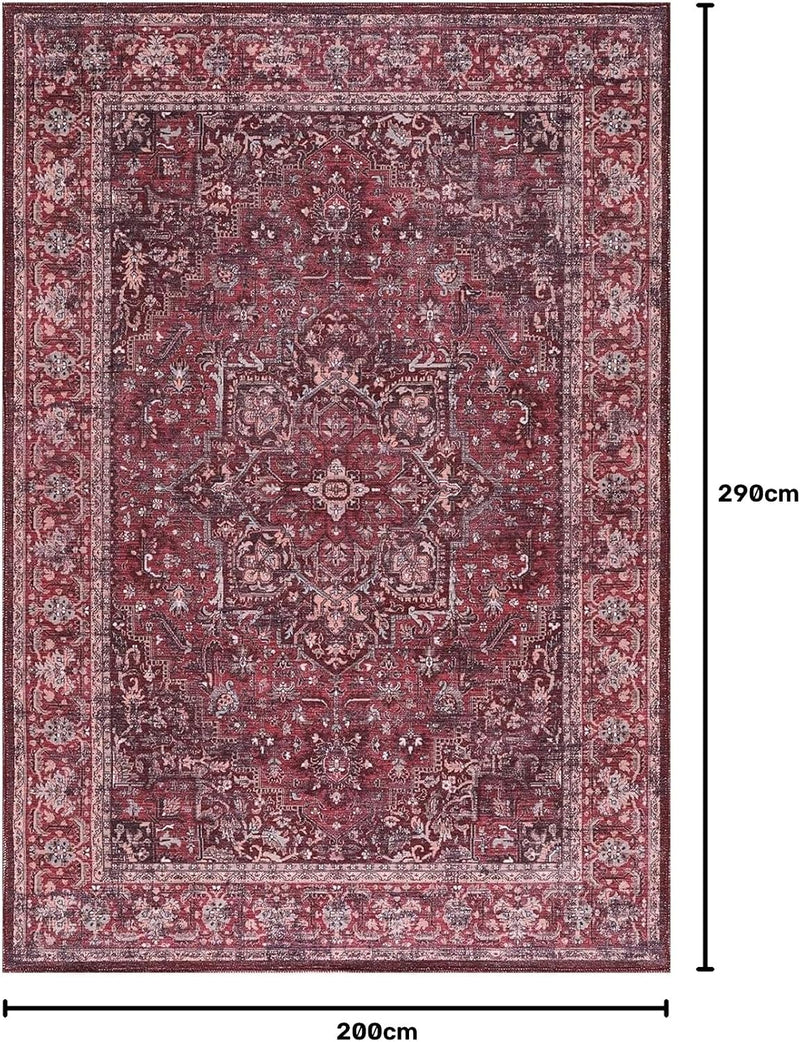 Washable Area Rug for Living Room