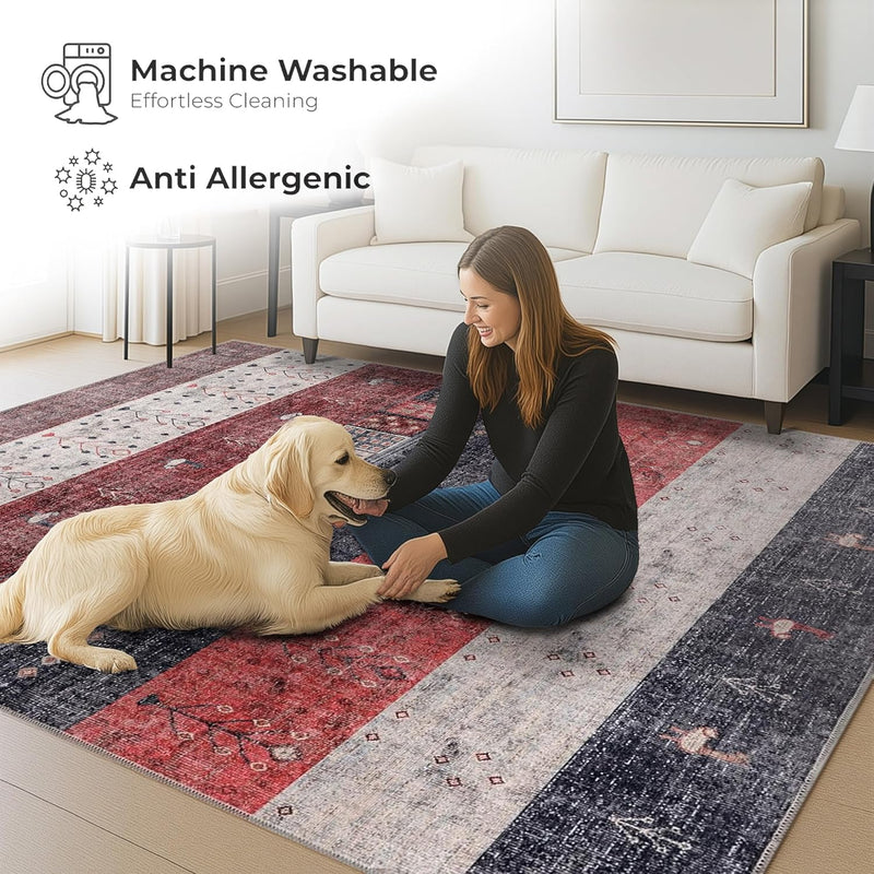 Washable Area Rug for Living Room