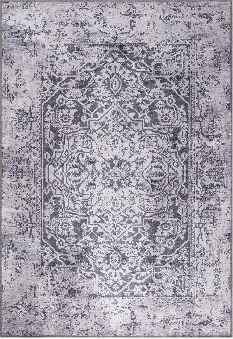 Washable Area Rug for Living Room