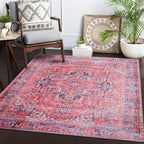 Washable Area Rug for Living Room