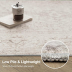 Washable Area Rug Living Room Vintage Neutral
