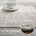 Washable Area Rug Vintage Neutral Distressed