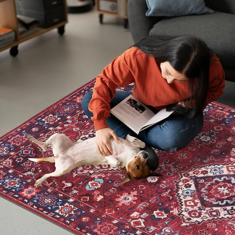 Washable Area Rugs for Living Room Traditional Carpet
