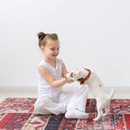 Washable Area Rugs for Living Room Traditional Carpet