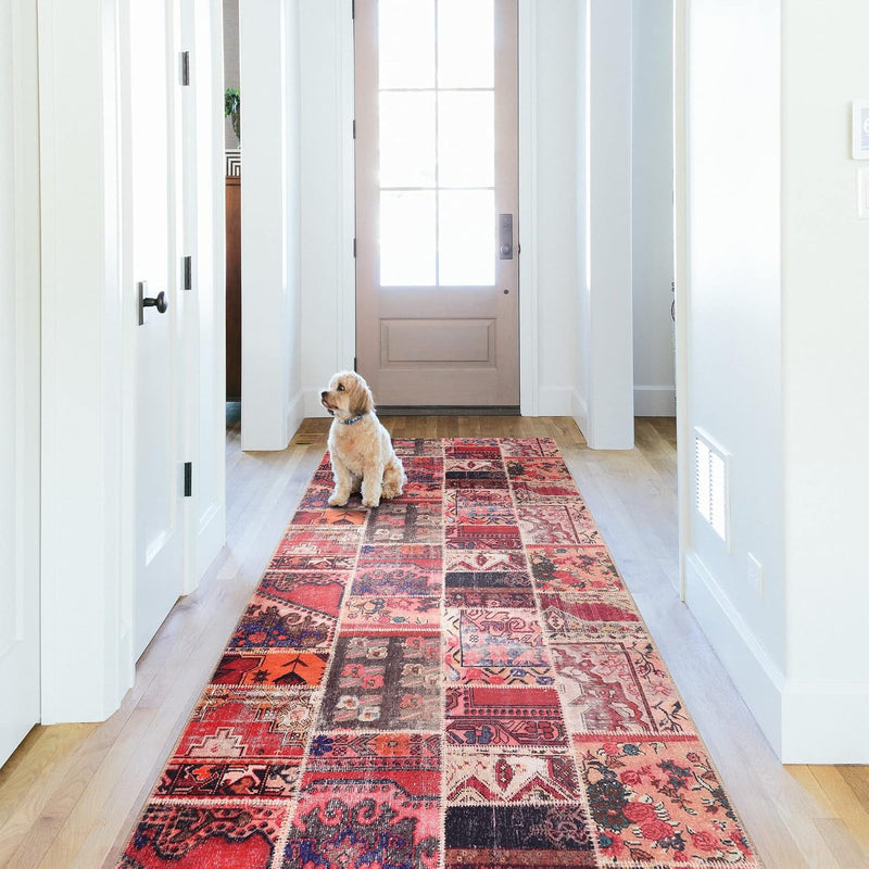 Washable Area Rugs for Living Room Traditional Carpet