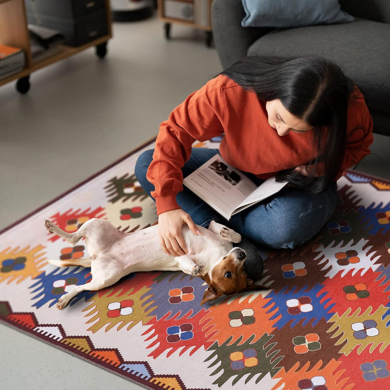 Washable Area Rugs for Living Room Traditional Carpet