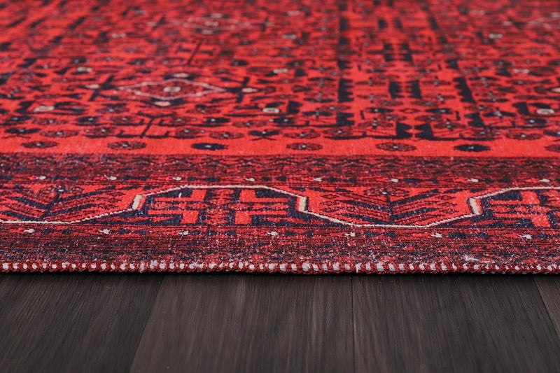 Washable Area Rugs for Living Room Traditional Carpet