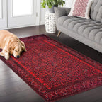 Washable Area Rugs for Living Room Traditional Carpet