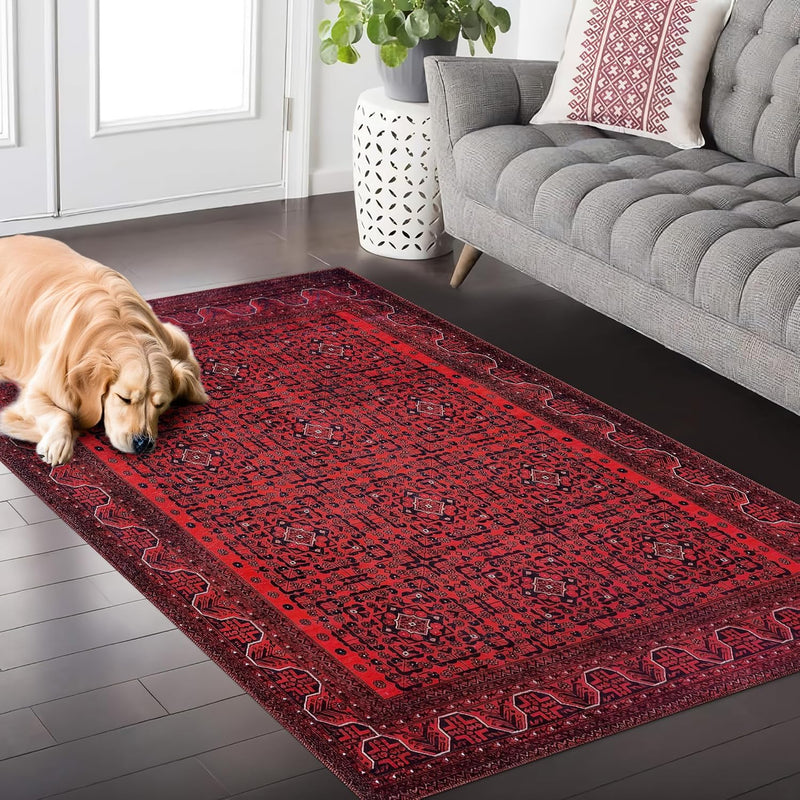 Washable Area Rugs for Living Room Traditional Carpet