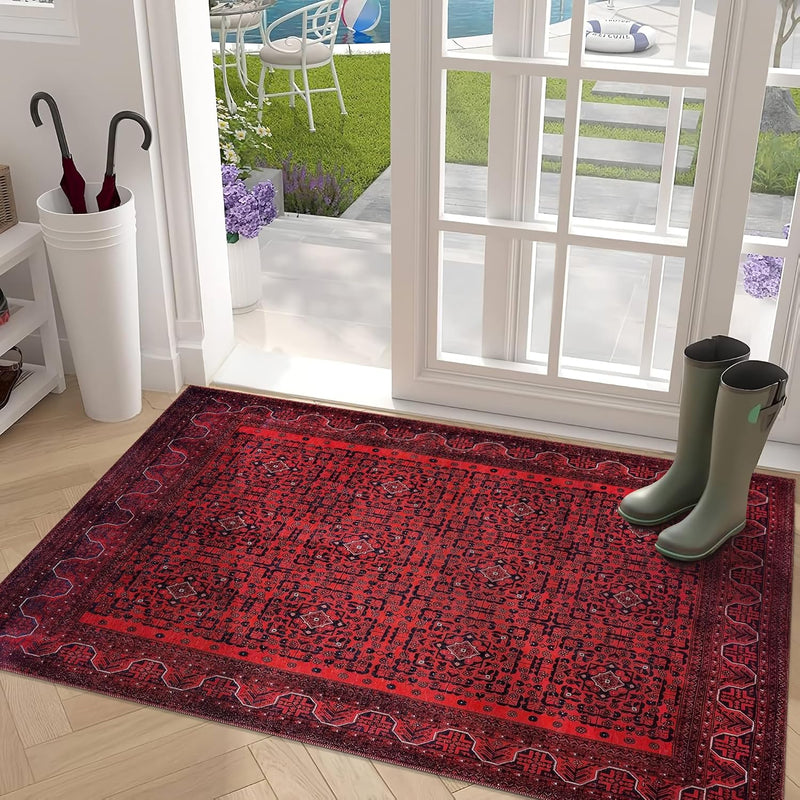 Washable Area Rugs for Living Room Traditional Carpet