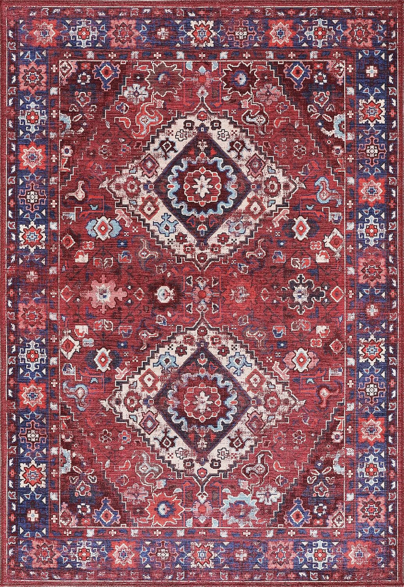 Washable Area Rugs for Living Room Traditional Carpet