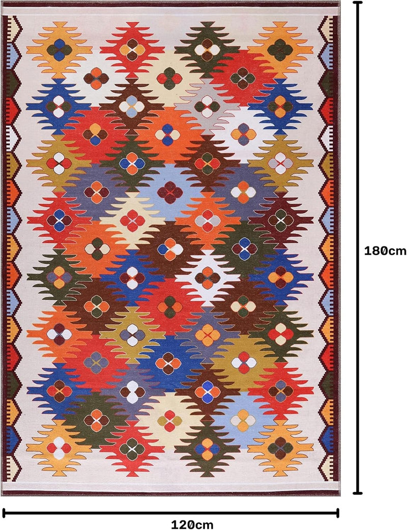 Washable Area Rugs for Living Room Traditional Carpet