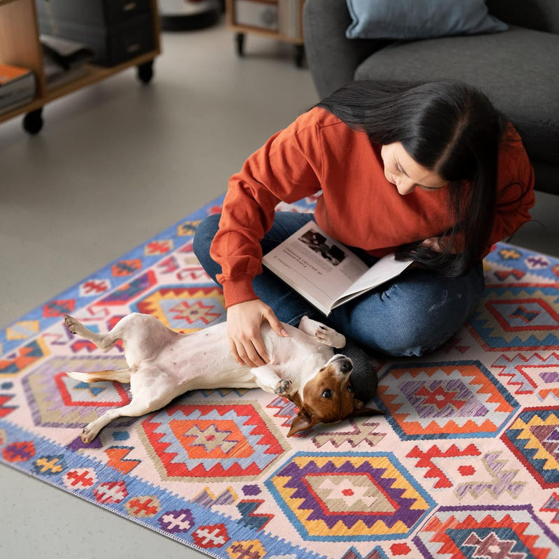 Washable Area Rugs for Living Room Traditional Carpet