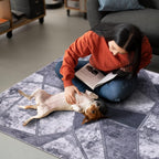 Washable Area Rugs for Living Room Traditional Flatweave