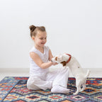Washable Area Rugs for Living Room Traditional Flatweave