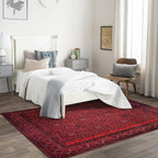 Washable Area Rugs for Living Room Traditional Carpet