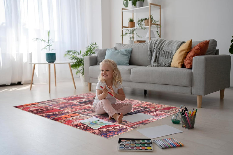 Washable Area Rugs for Living Room Traditional Carpet