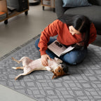 Washable Area Rugs for Living Room Traditional Flatweave