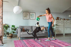 Washable Area Rugs for Living Room Traditional Flatweave