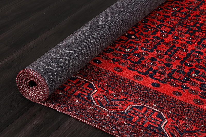 Washable Area Rugs for Living Room Traditional Carpet