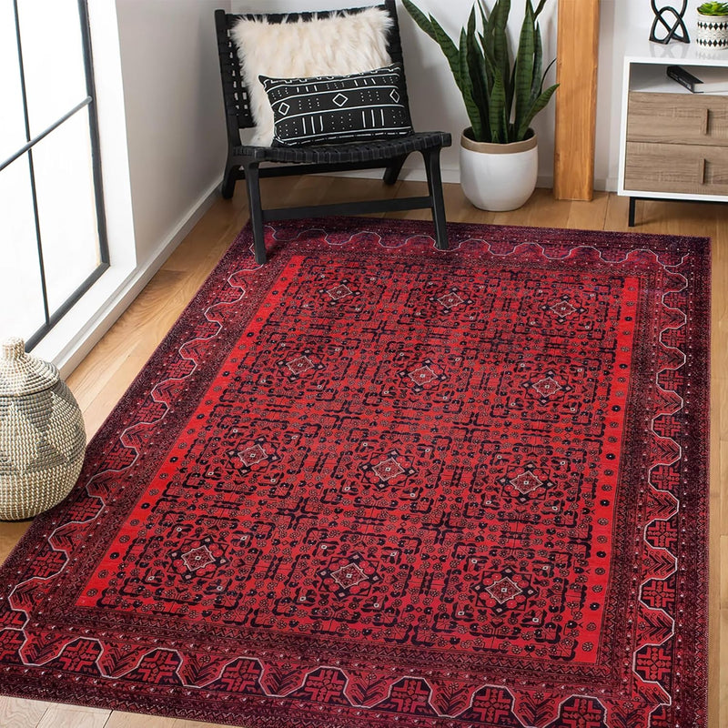 Washable Area Rugs for Living Room Traditional Carpet
