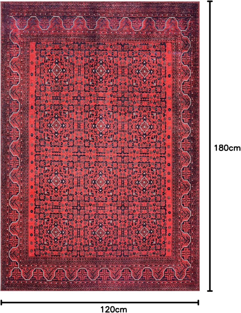 Washable Area Rugs for Living Room Traditional Carpet