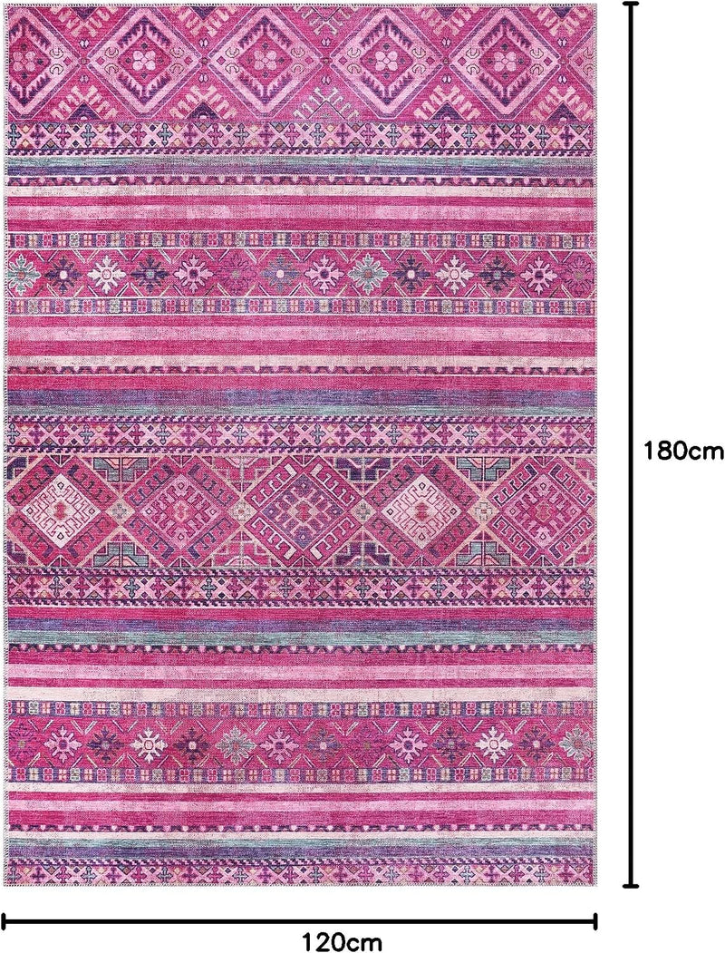 Washable Area Rugs for Living Room Traditional Carpet