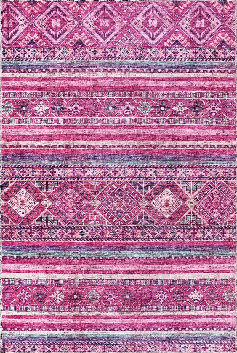 Washable Area Rugs for Living Room Traditional Carpet