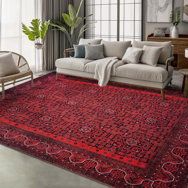 Washable Area Rugs for Living Room Traditional Carpet