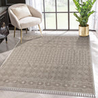 Washable Area Rugs for Living Room Traditional Flatweave