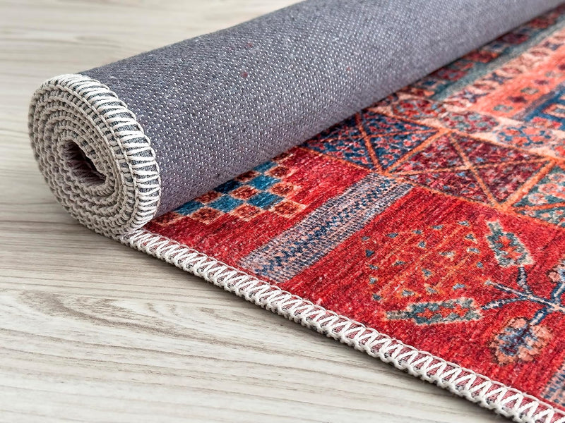 Washable Area Rugs for Living Room Traditional Carpet