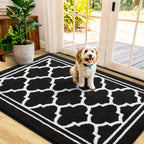 Washable Door Mats