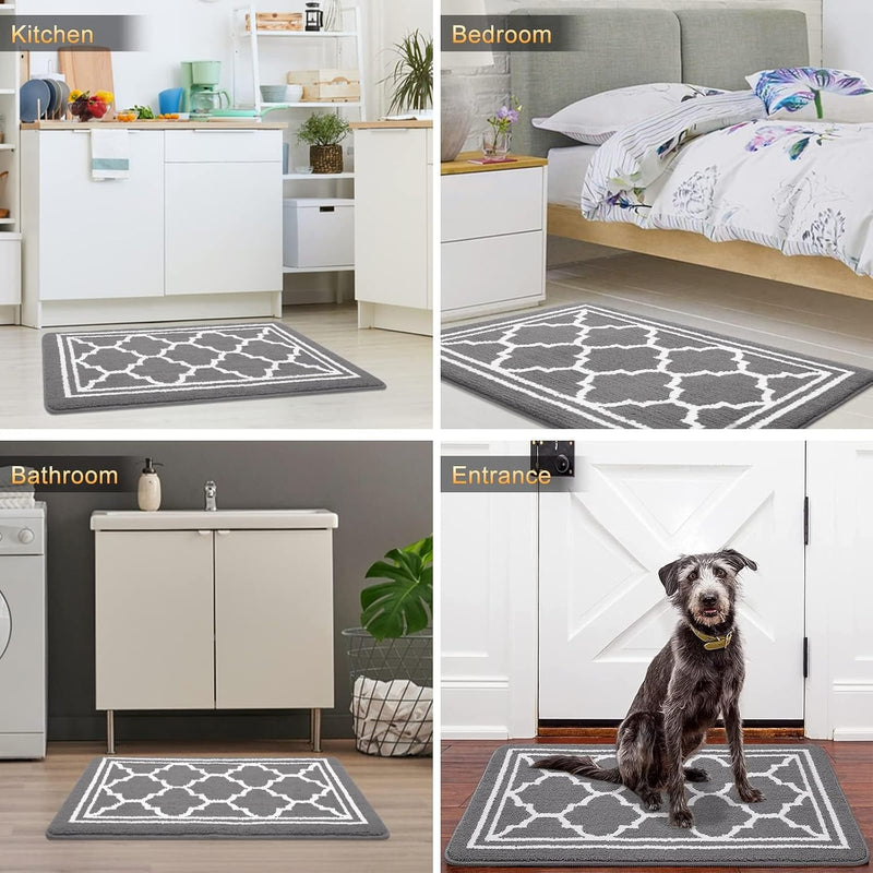 Soft Absorbent Door Mat Dirt Trapper Doormats