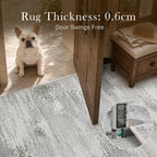 Washable Rugs for Living Room Large Centre