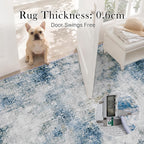 Washable Rugs for Living Room Large Centre