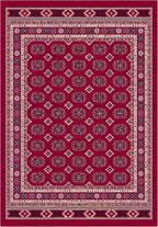 Washable Rug Non-Slip Backing Short Pile Non-Shedding