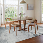 Washable Rugs for Living Room Large Non