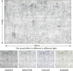 Washable Rugs for Living Room Large Non